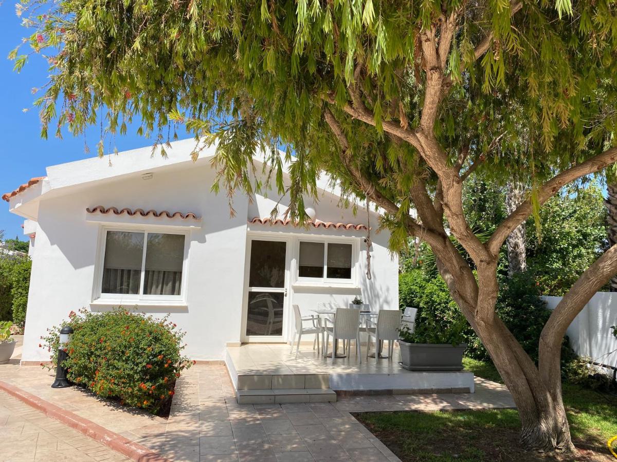 Fig Tree Z Holiday Resort Paralimni Exterior foto